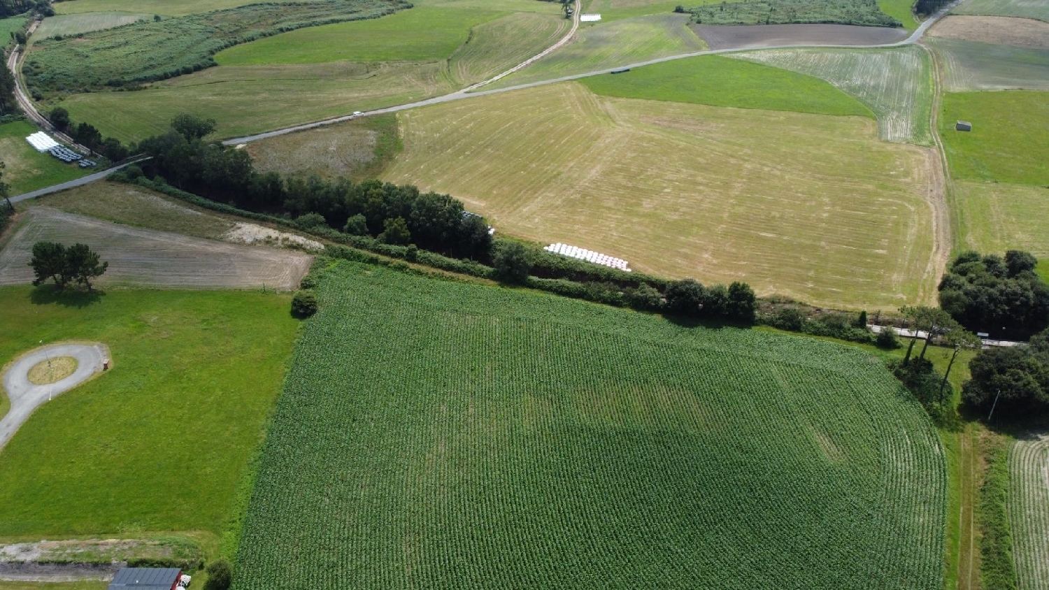  for sale plot Coaña Eo-Navia 6