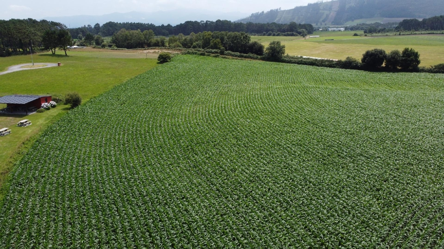  for sale plot Coaña Eo-Navia 7
