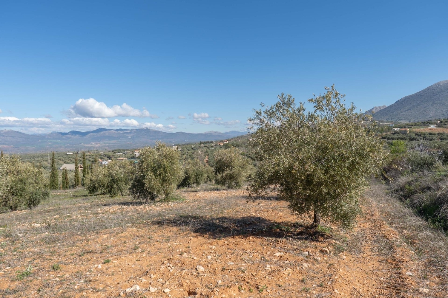 for sale plot Cogollos Vega Vega De Granada 3