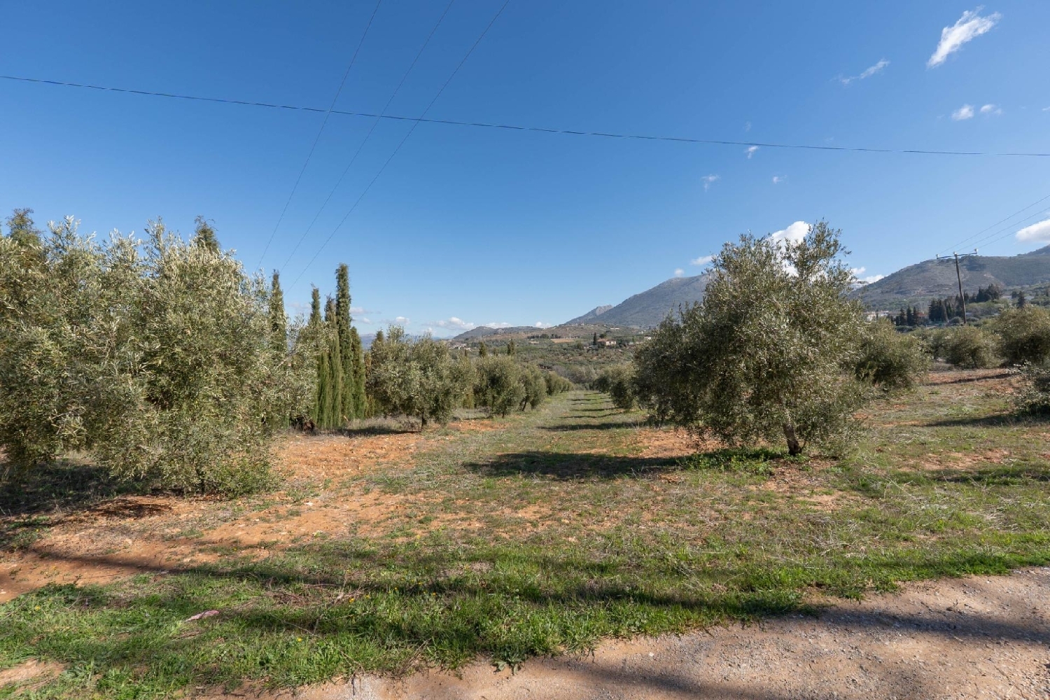  for sale plot Cogollos Vega Vega De Granada 4