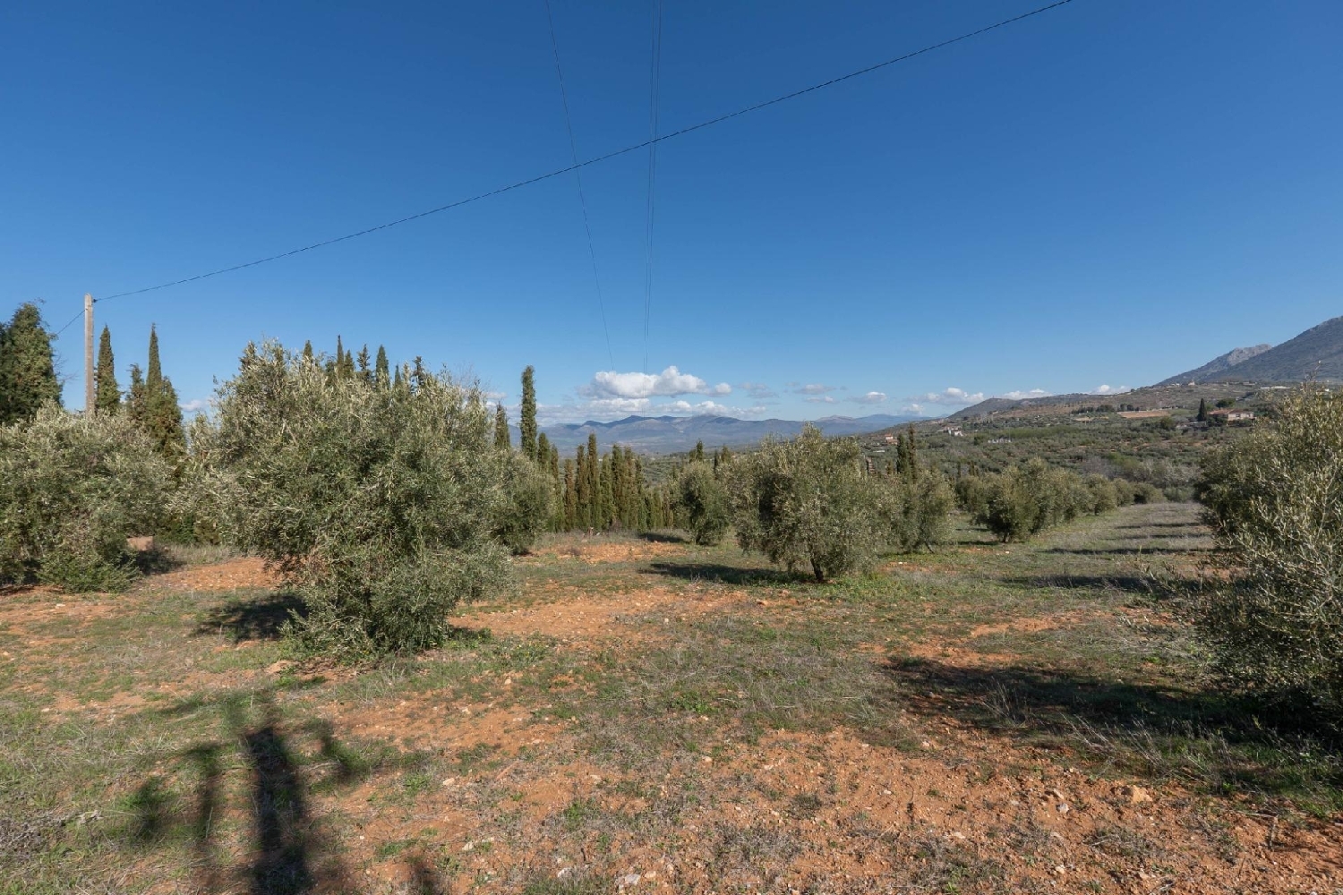 for sale plot Cogollos Vega Vega De Granada 5