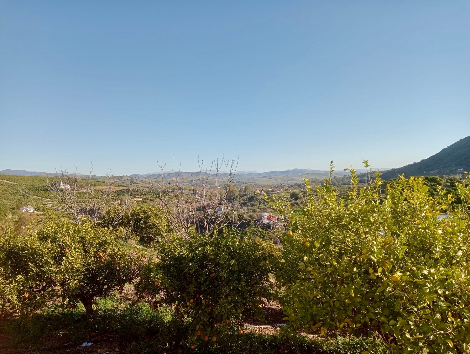  en venta terreno Coín Valle Del Guadalhorce 6