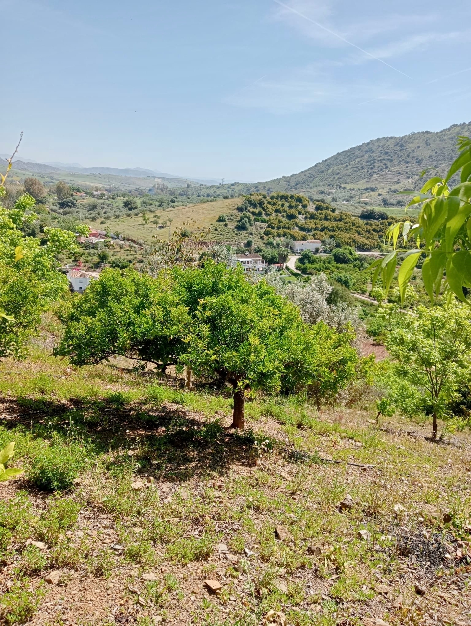  en venta terreno Coín Valle Del Guadalhorce 5