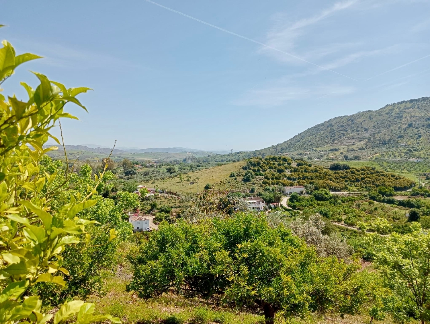  en venta terreno Coín Valle Del Guadalhorce 4