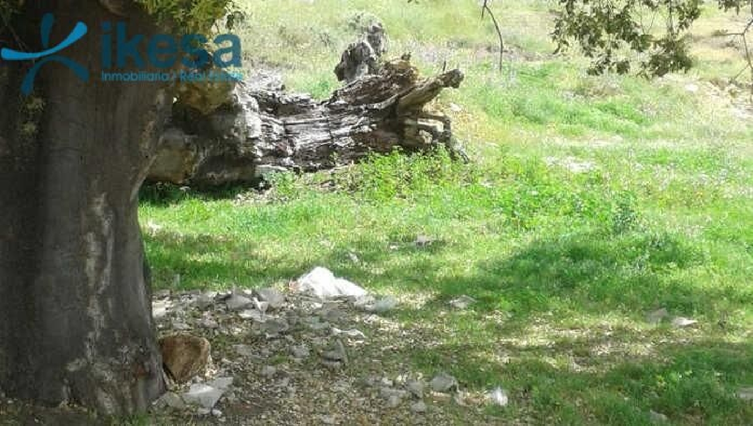  te koop perceel Cortegana Sierra De Huelva 6