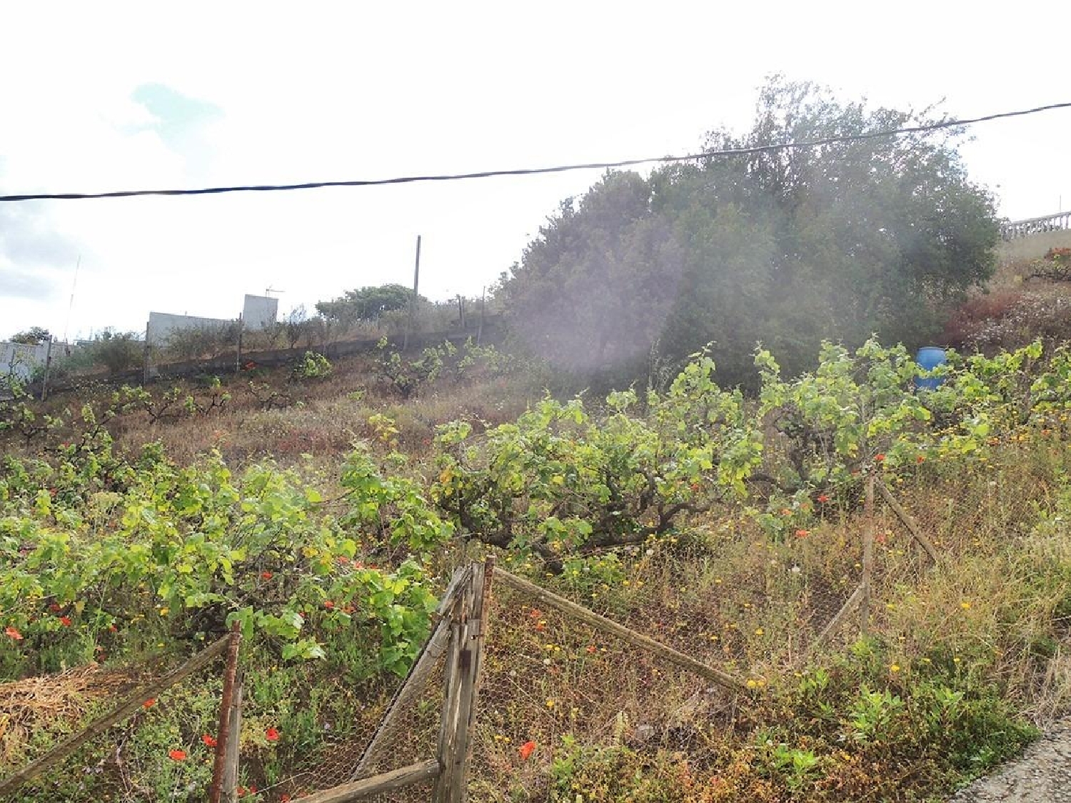 for sale plot Costa De Santa Brigida Selva 3