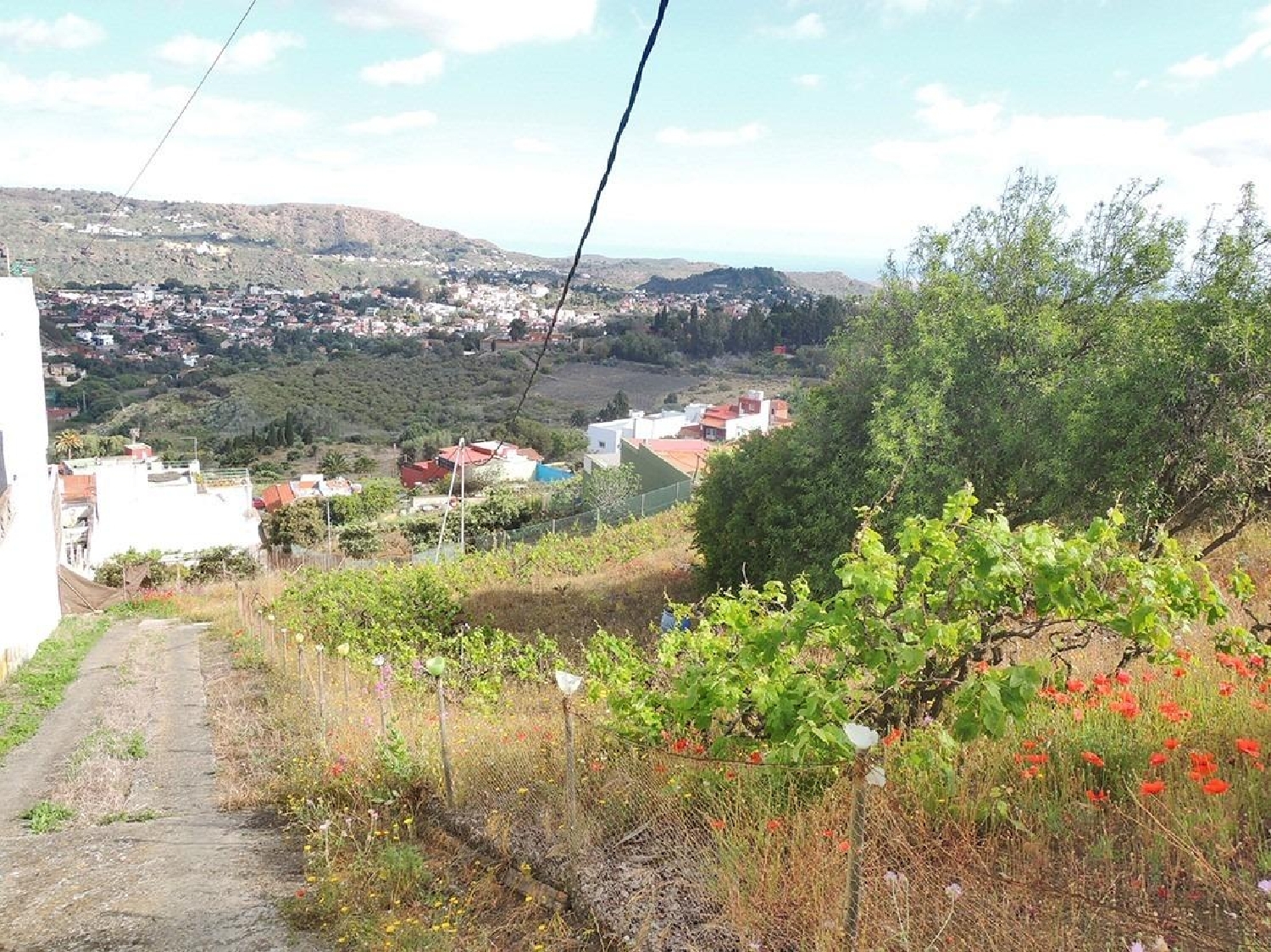  for sale plot Costa De Santa Brigida Selva 6
