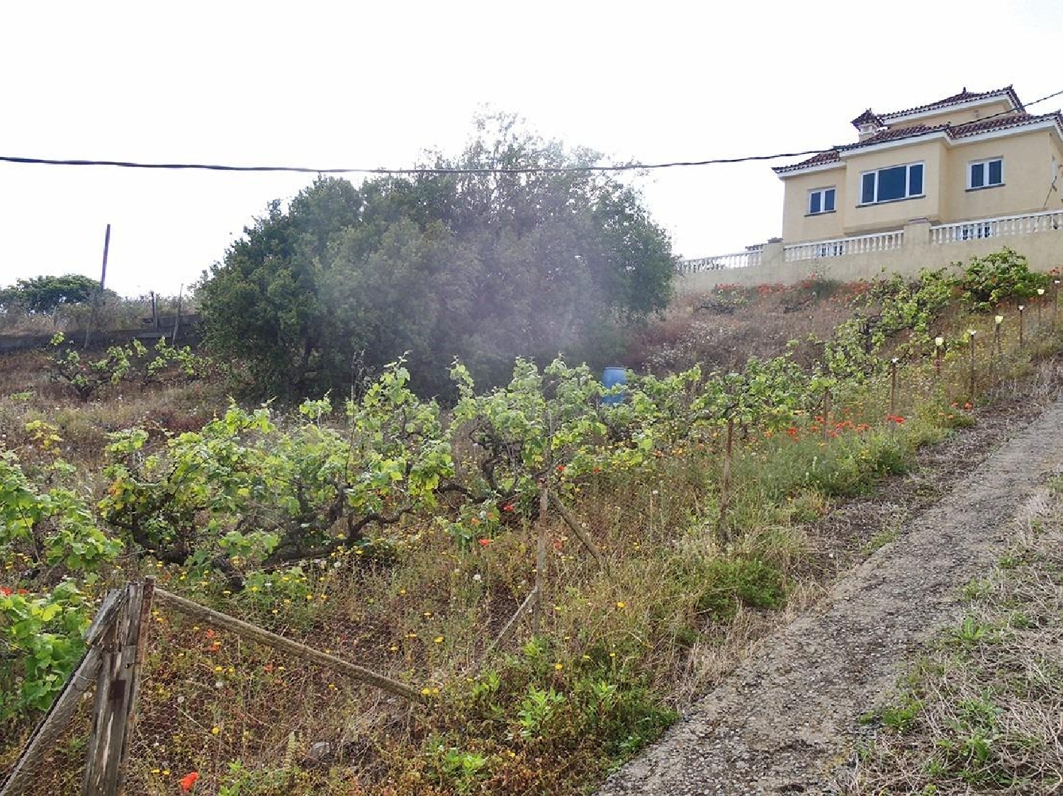 for sale plot Costa De Santa Brigida Selva 2
