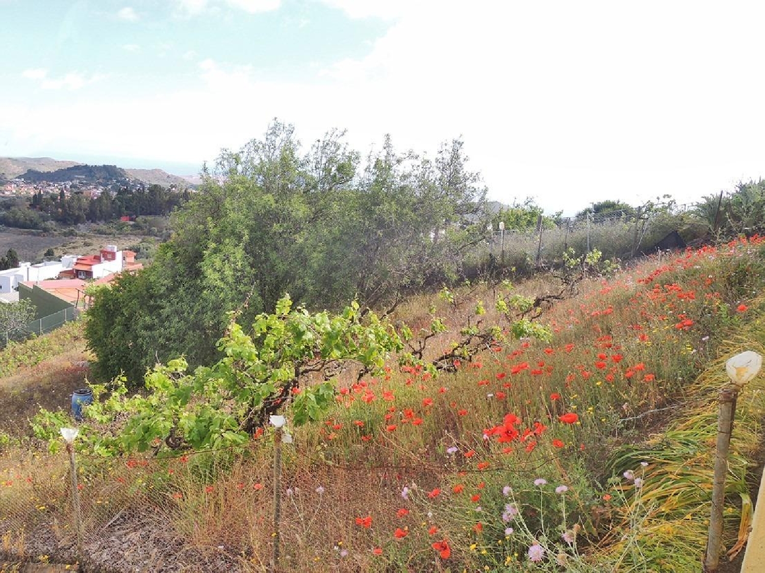  for sale plot Costa De Santa Brigida Selva 5