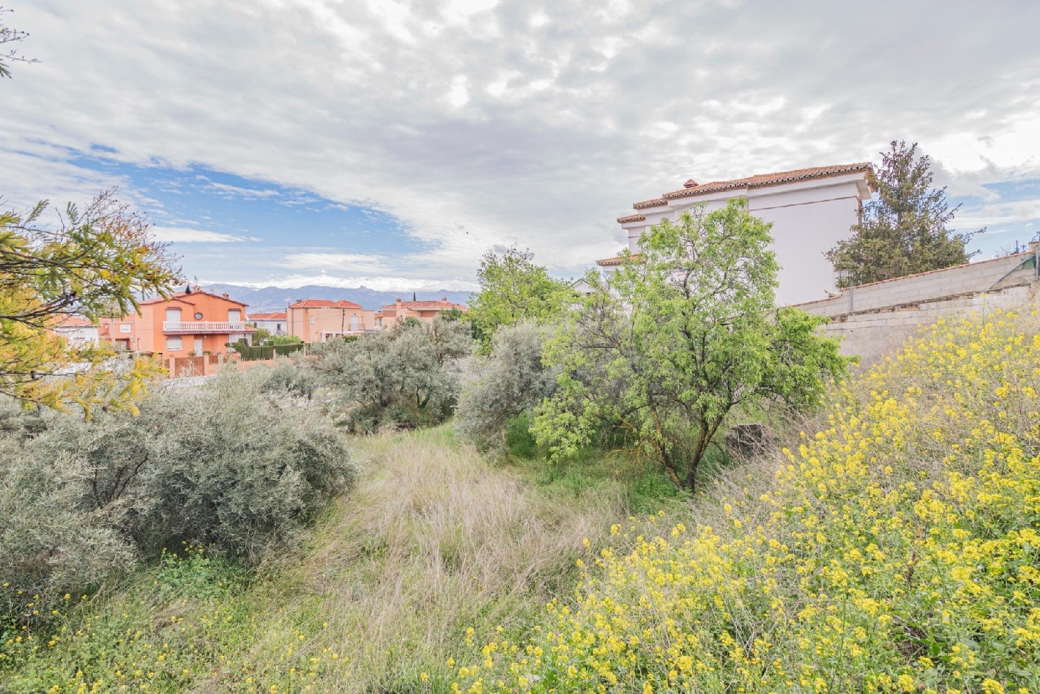  en venta terreno Cúllar Vega Vega De Granada 7