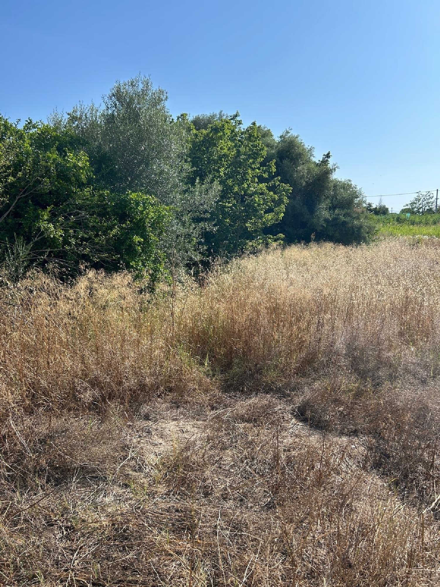 kaufen Grundstück El Palmar Janda (La) 3