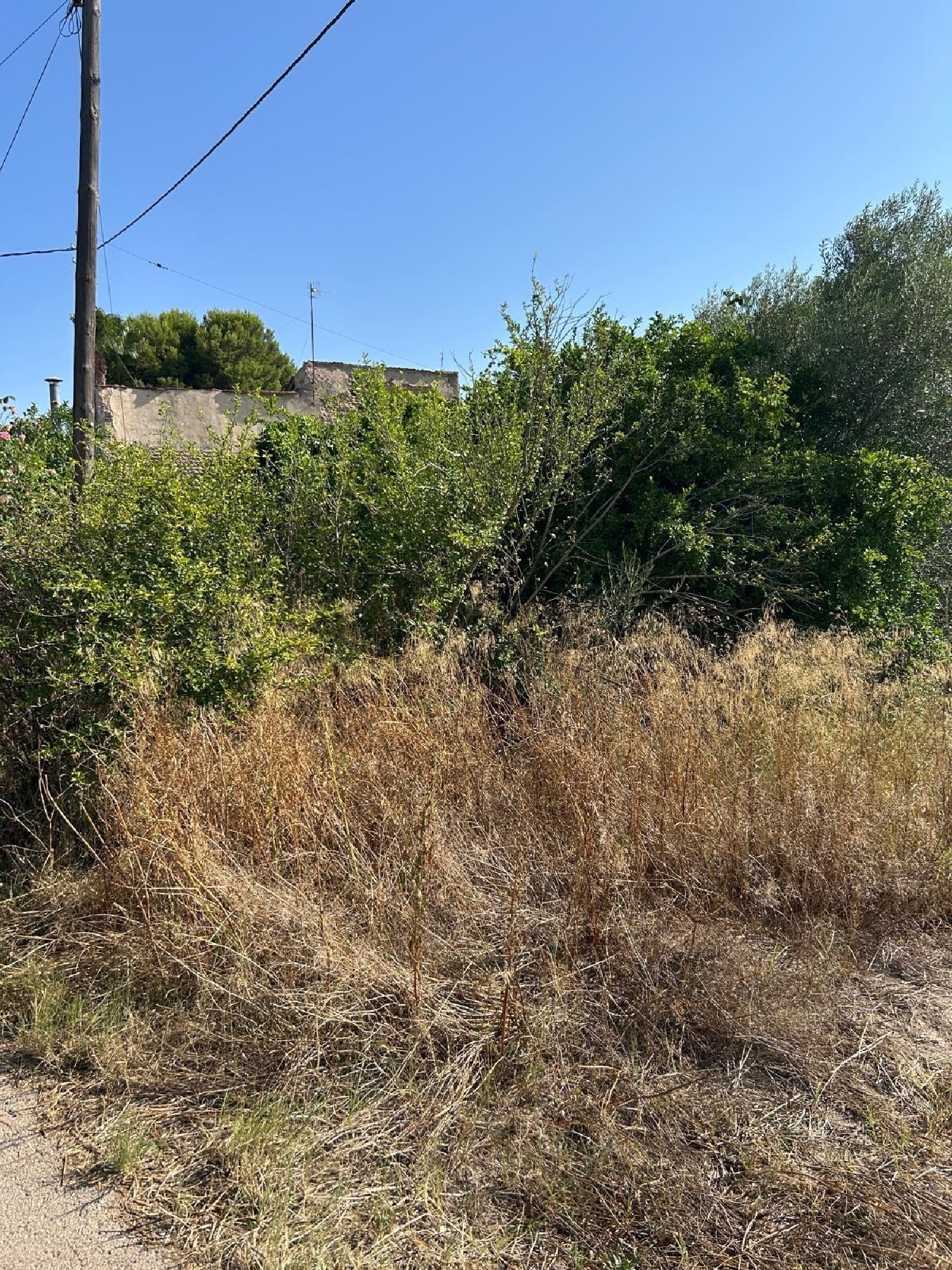  kaufen Grundstück El Palmar Janda (La) 4