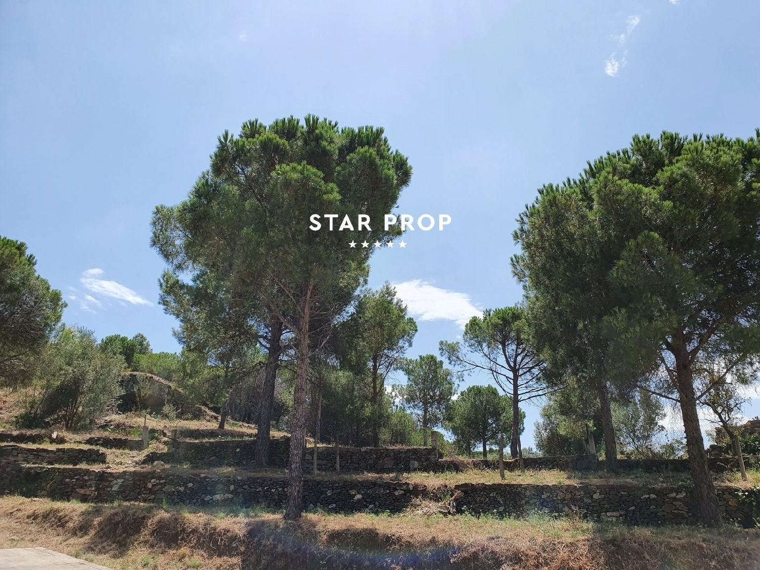  kaufen Grundstück El Port De La Selva Alt Empordà 1