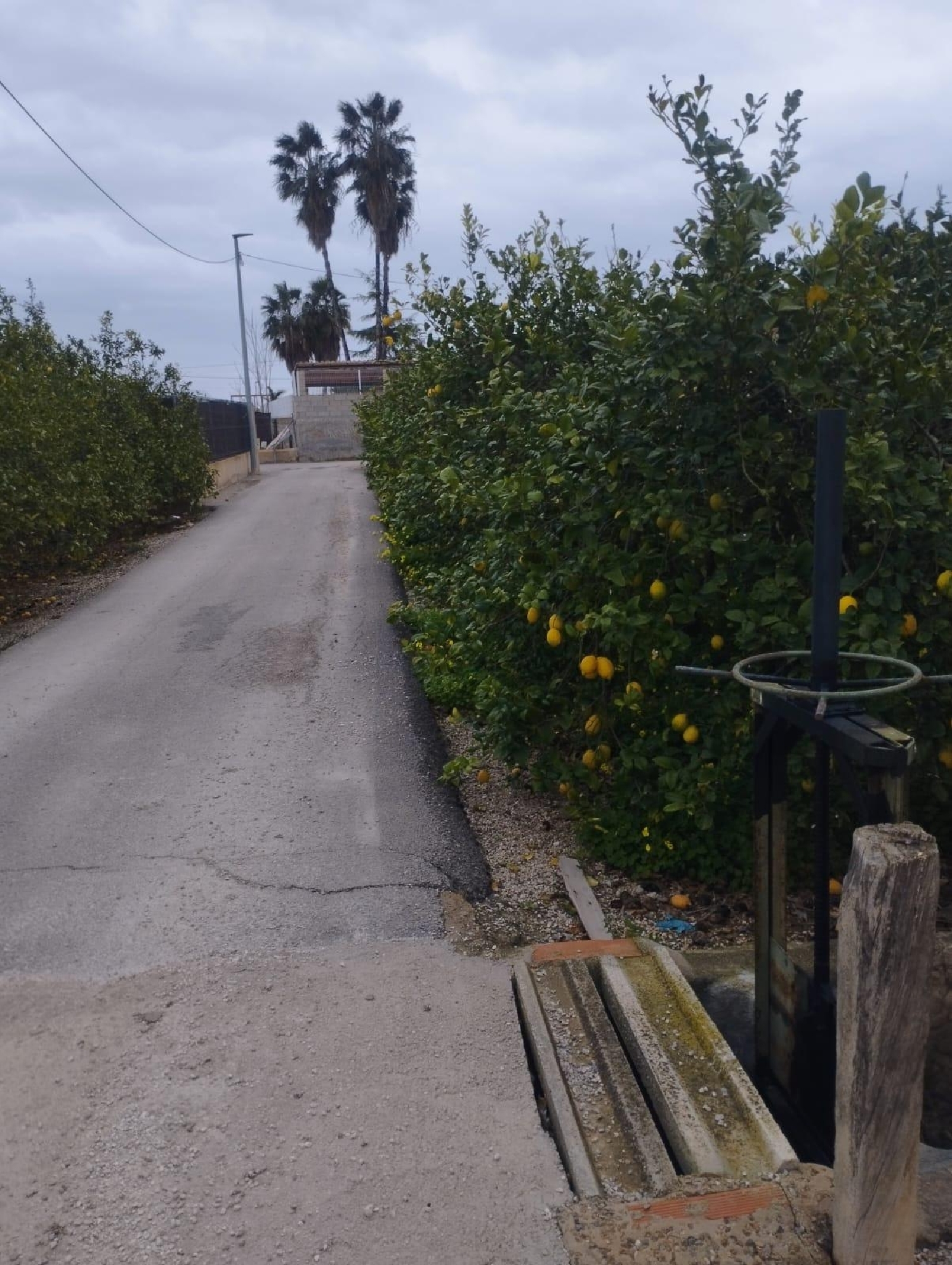  te koop perceel El Raal Huerta De Murcia 3