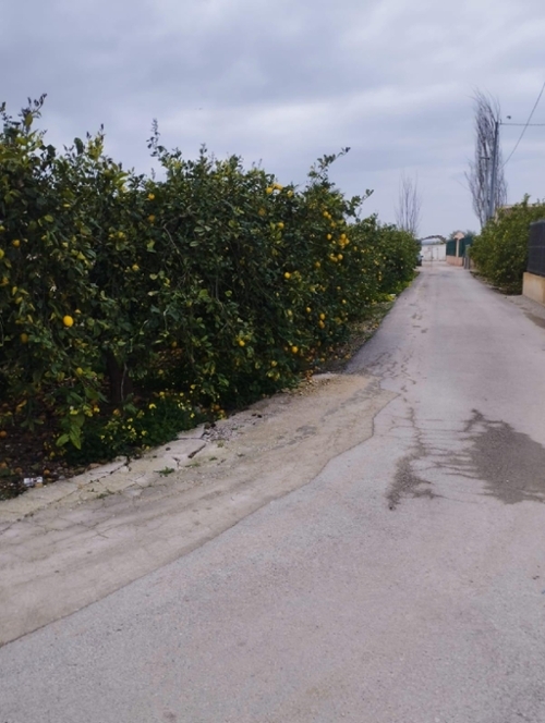 El Raal Huerta De Murcia plot foto 6282070