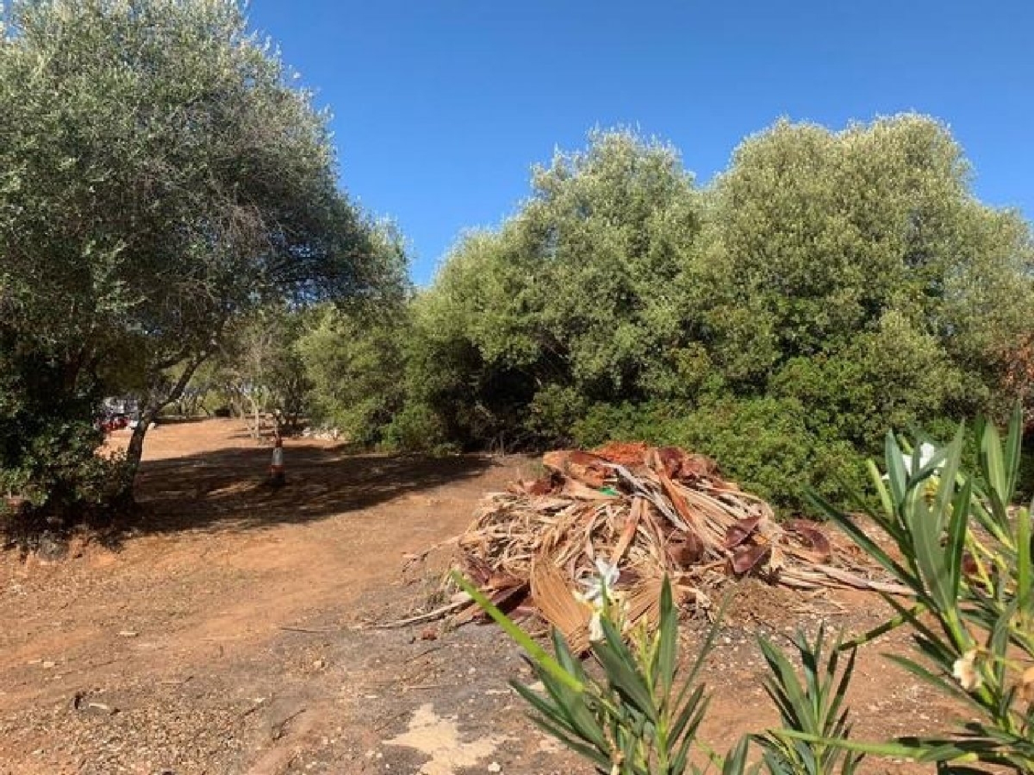 for sale plot Villafranca De Córdoba Alto Guadalquivir 2