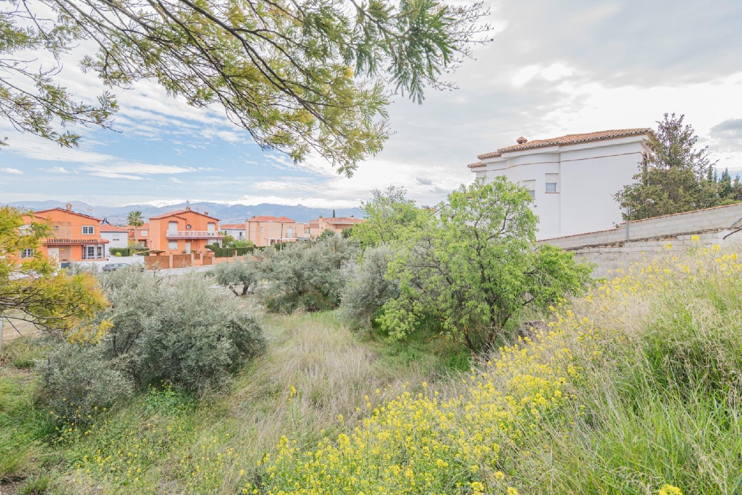  en venta terreno El Ventorrillo Vega De Granada 5