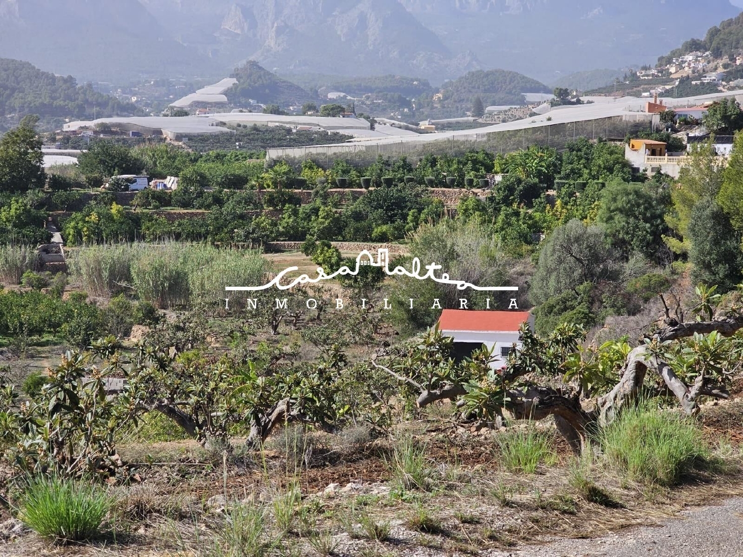 for sale plot Famorca Comtat 4