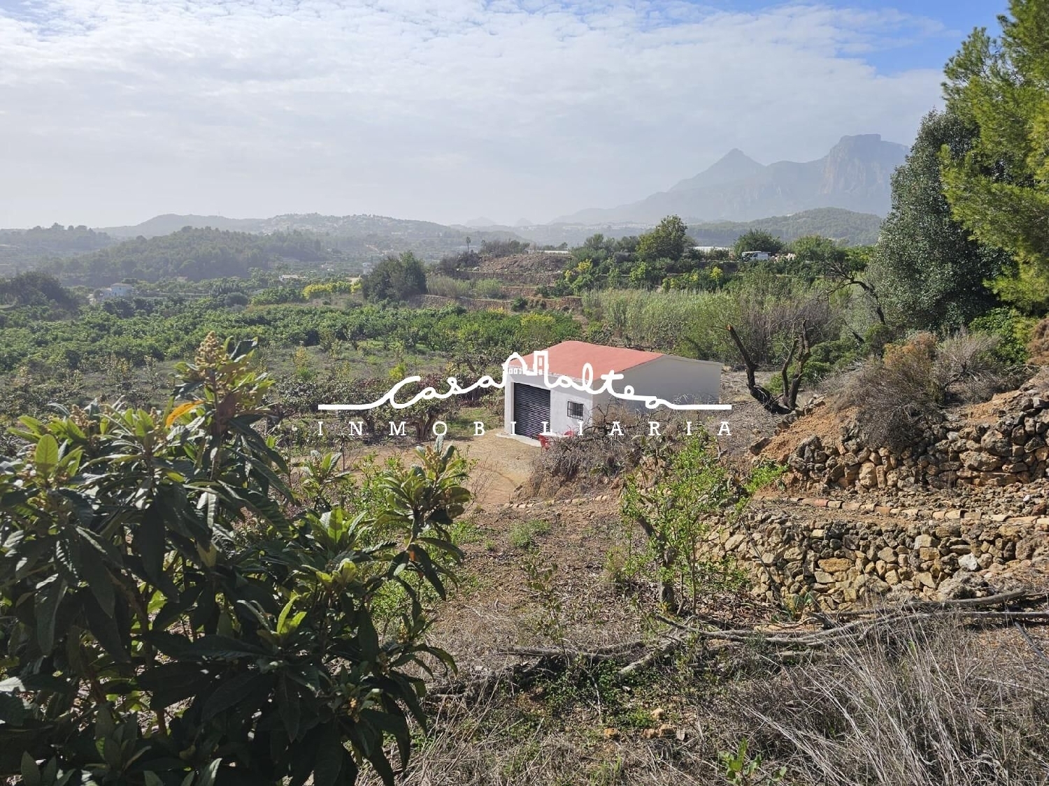  for sale plot Famorca Comtat 5