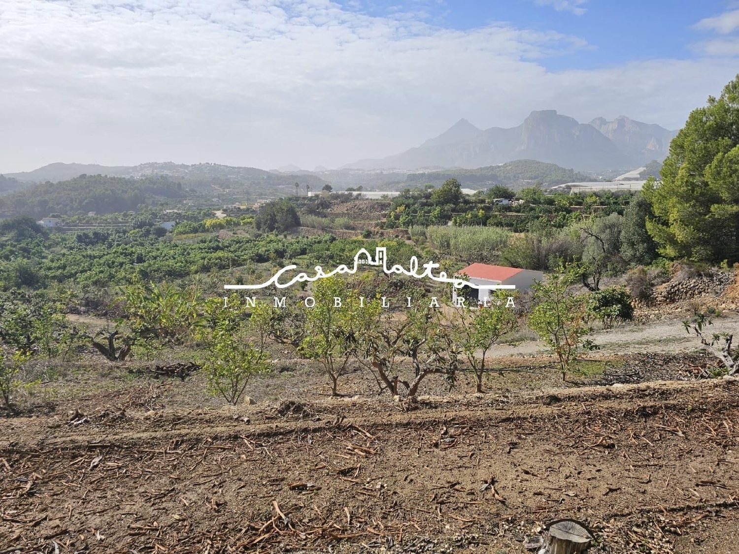  for sale plot Famorca Comtat 2