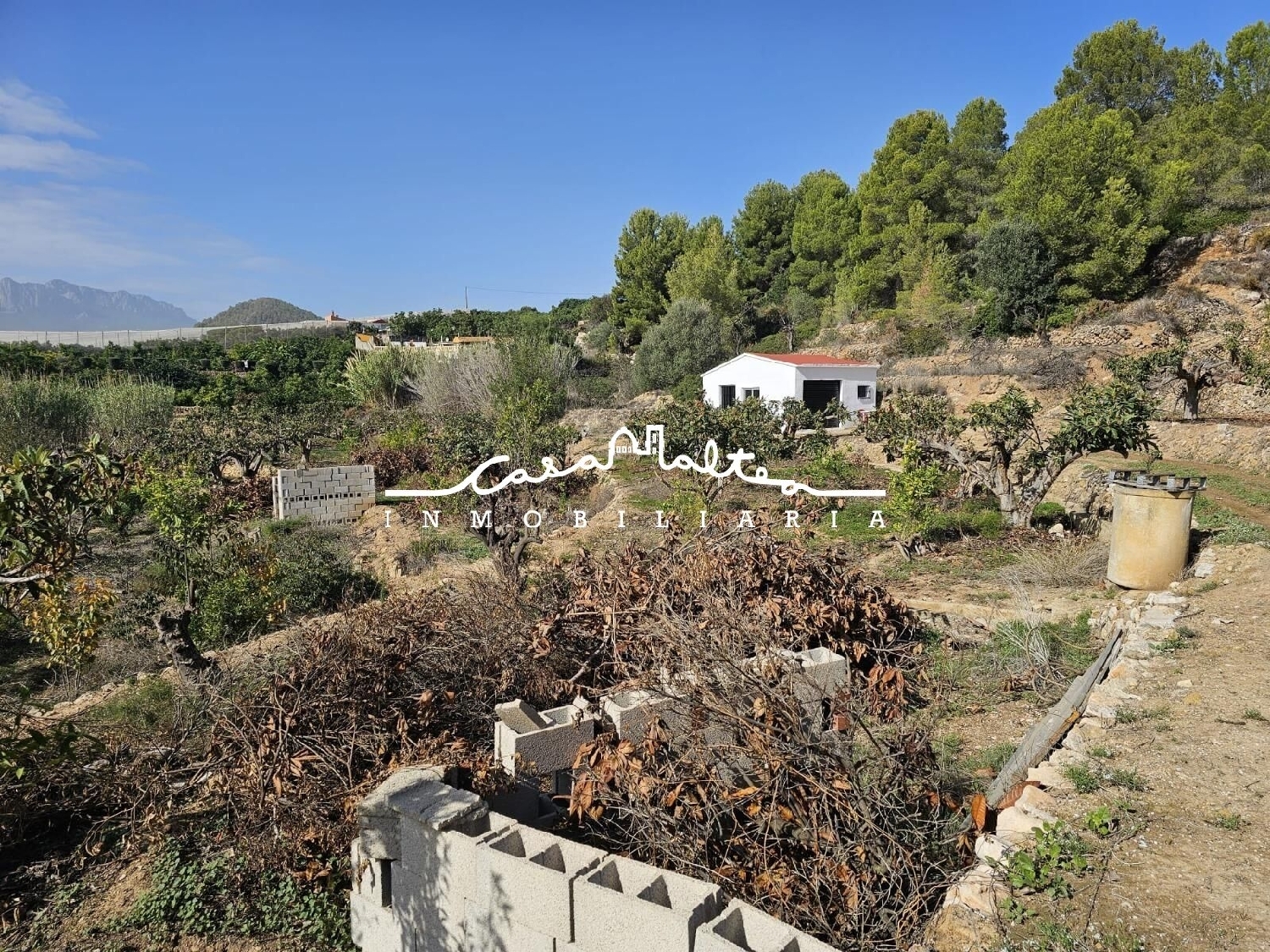  for sale plot Famorca Comtat 3