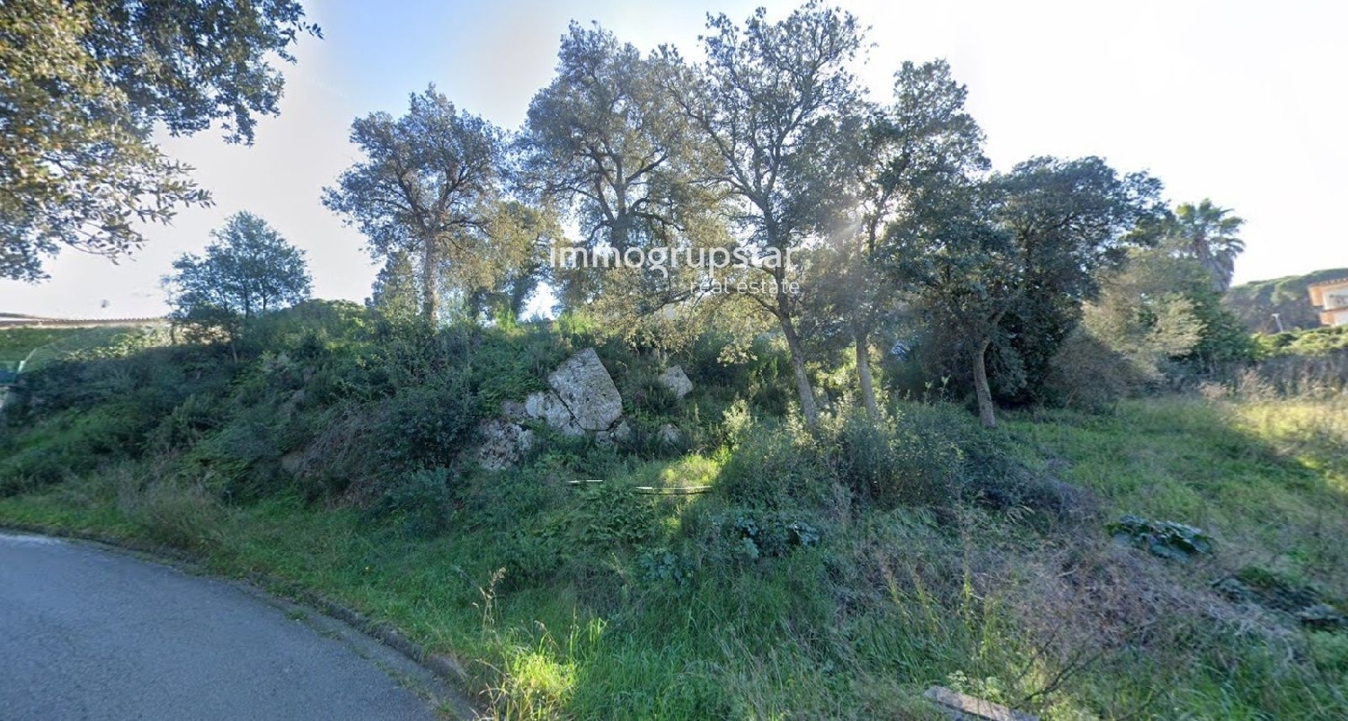  for sale plot Finca Verd Baix Empordà 1