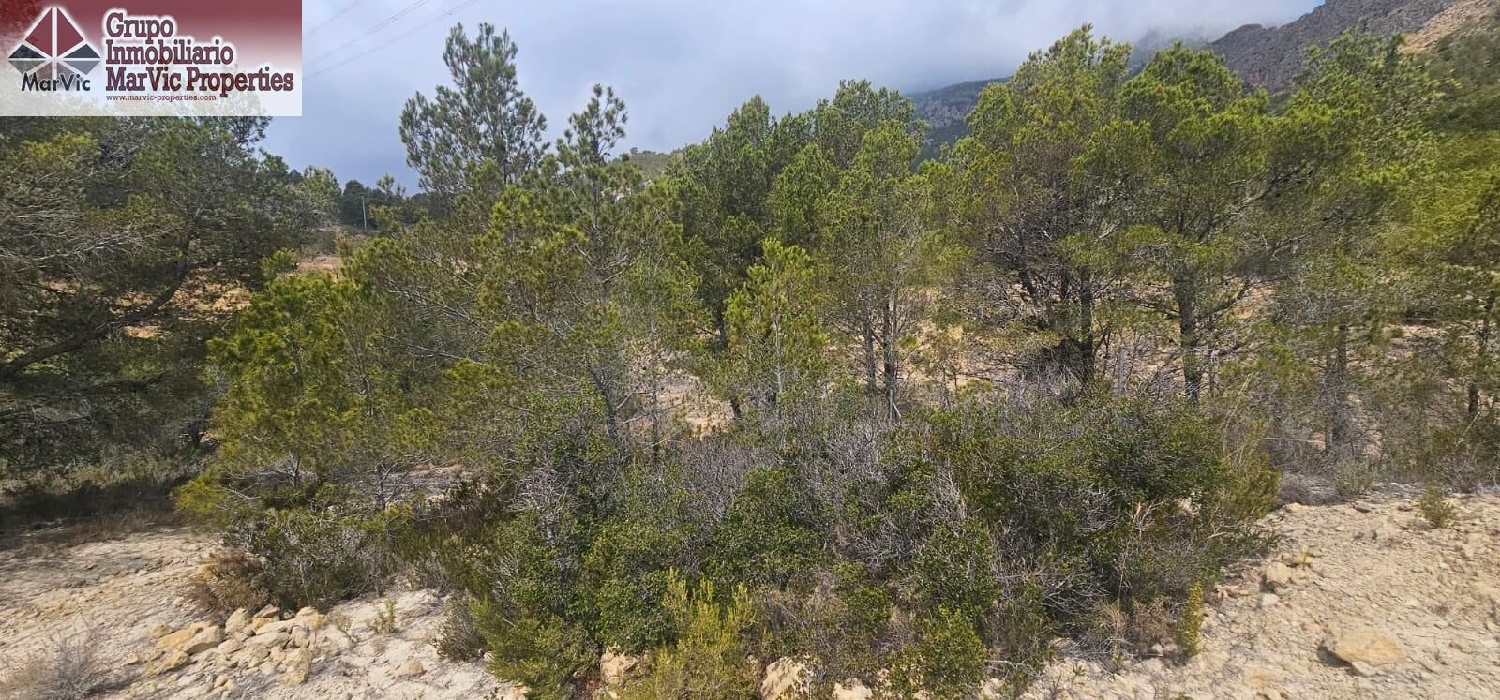  en venta terreno Finestrat Marina Baixa 4