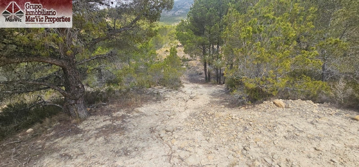  en venta terreno Finestrat Marina Baixa 3