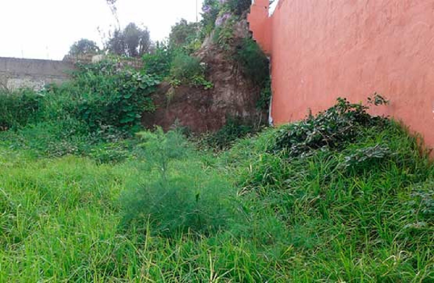  for sale plot Firgas Área Norte 5