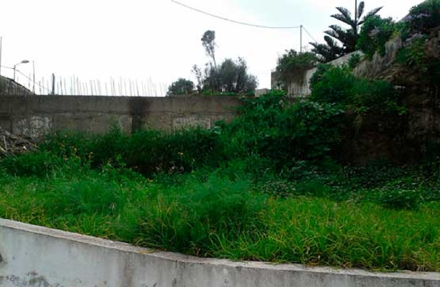 for sale plot Firgas Área Norte 3