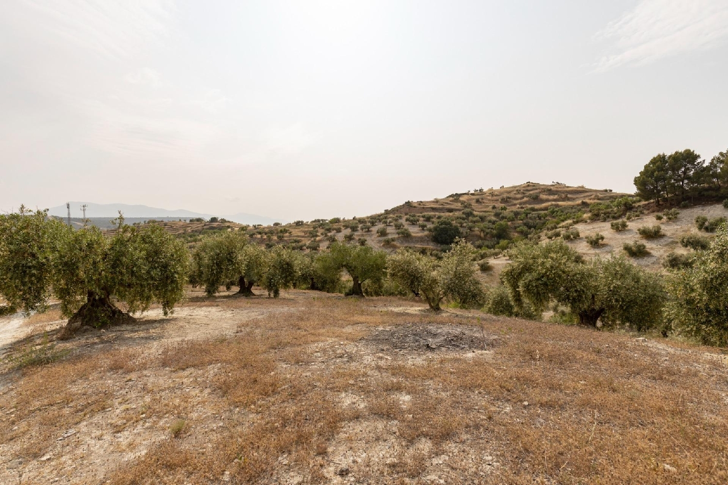 for sale plot Fornes Alhama 8