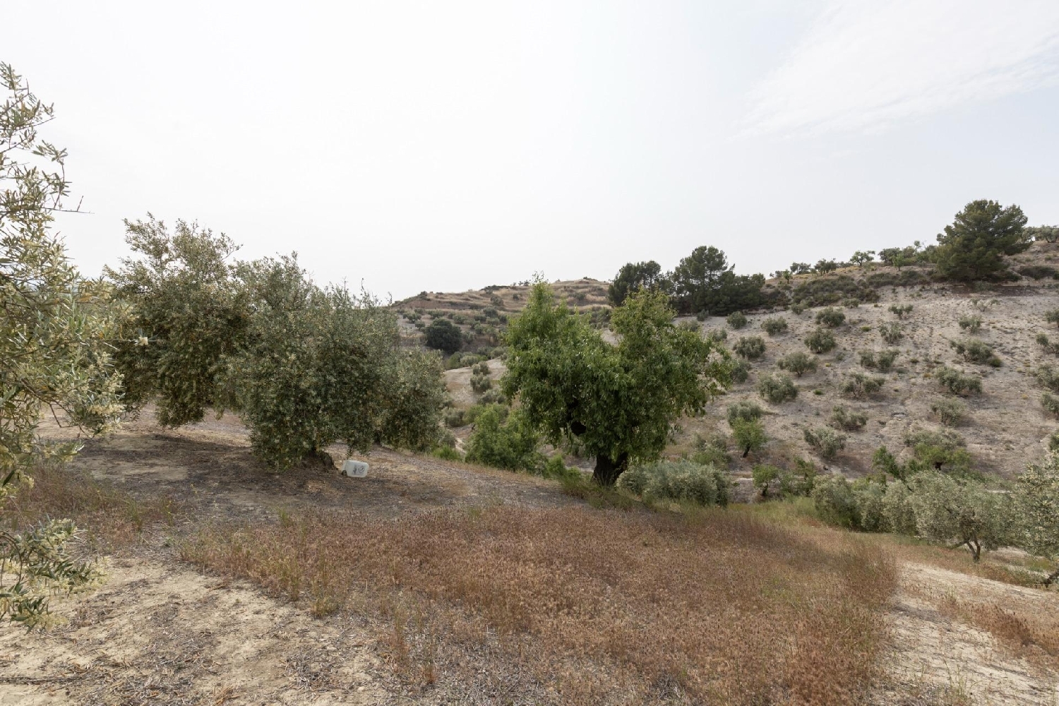 for sale plot Fornes Alhama 3