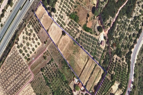 Freginals Montsià plot foto 6284241