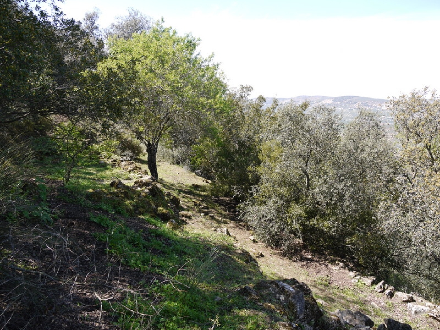  en venta terreno Fuente Del Conde Subbética 13