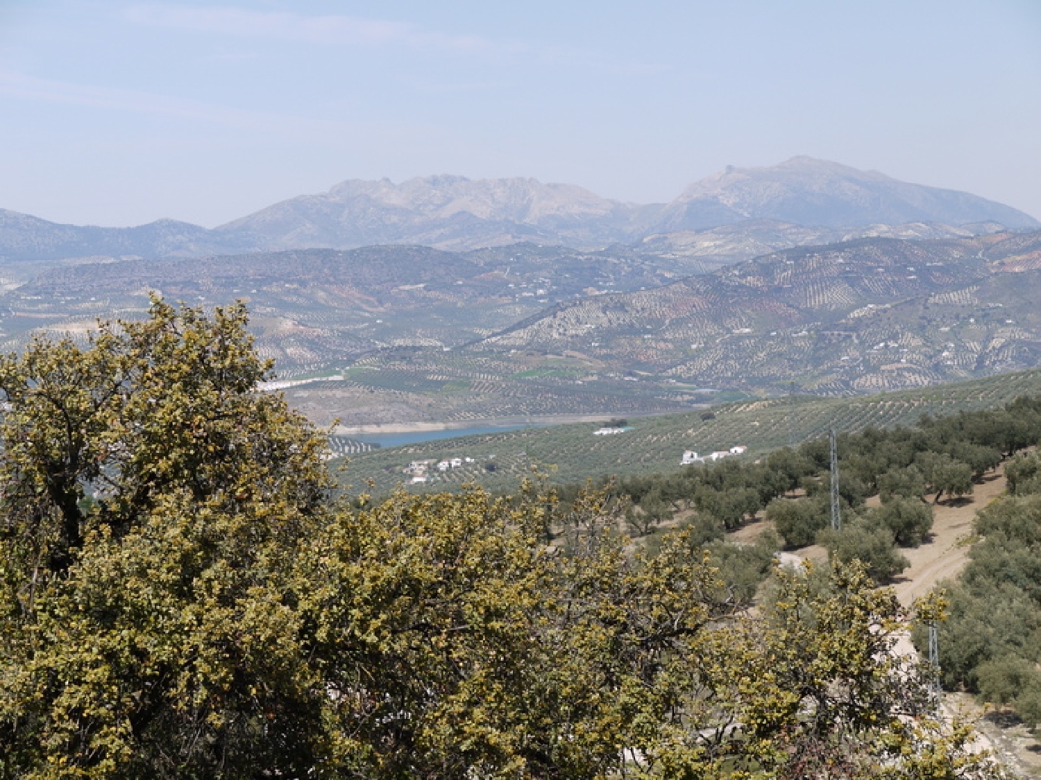 en venta terreno Fuente Del Conde Subbética 3