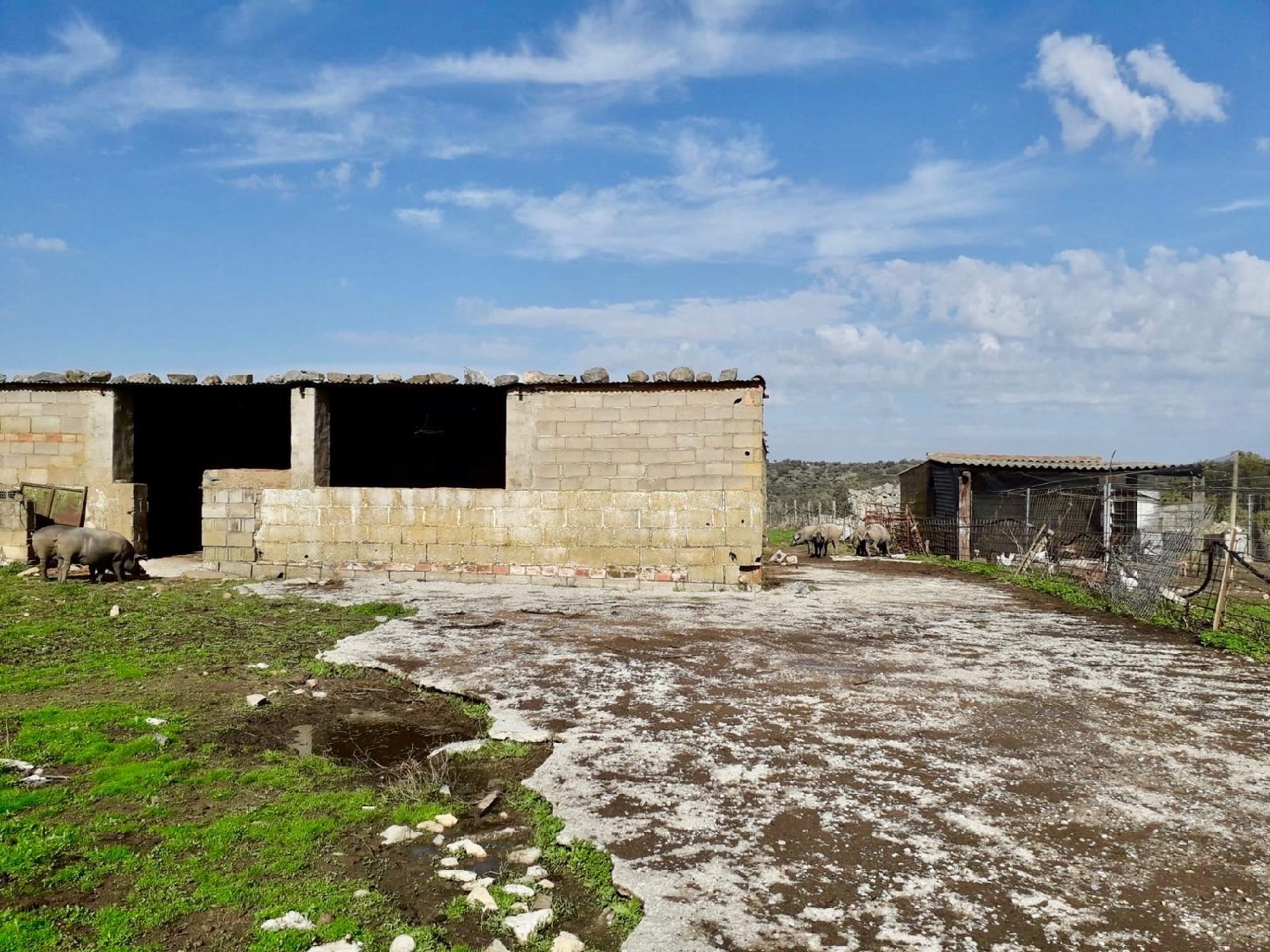  for sale plot Fuente Obejuna Valle Del Guadiato 6