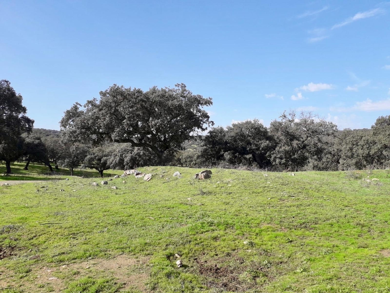  for sale plot Fuente Obejuna Valle Del Guadiato 1