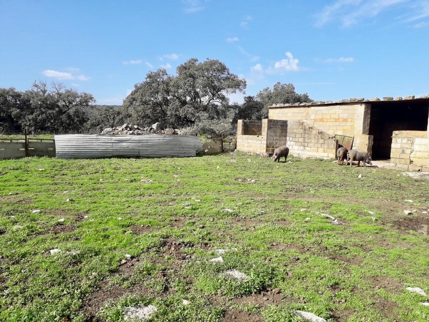  for sale plot Fuente Obejuna Valle Del Guadiato 8