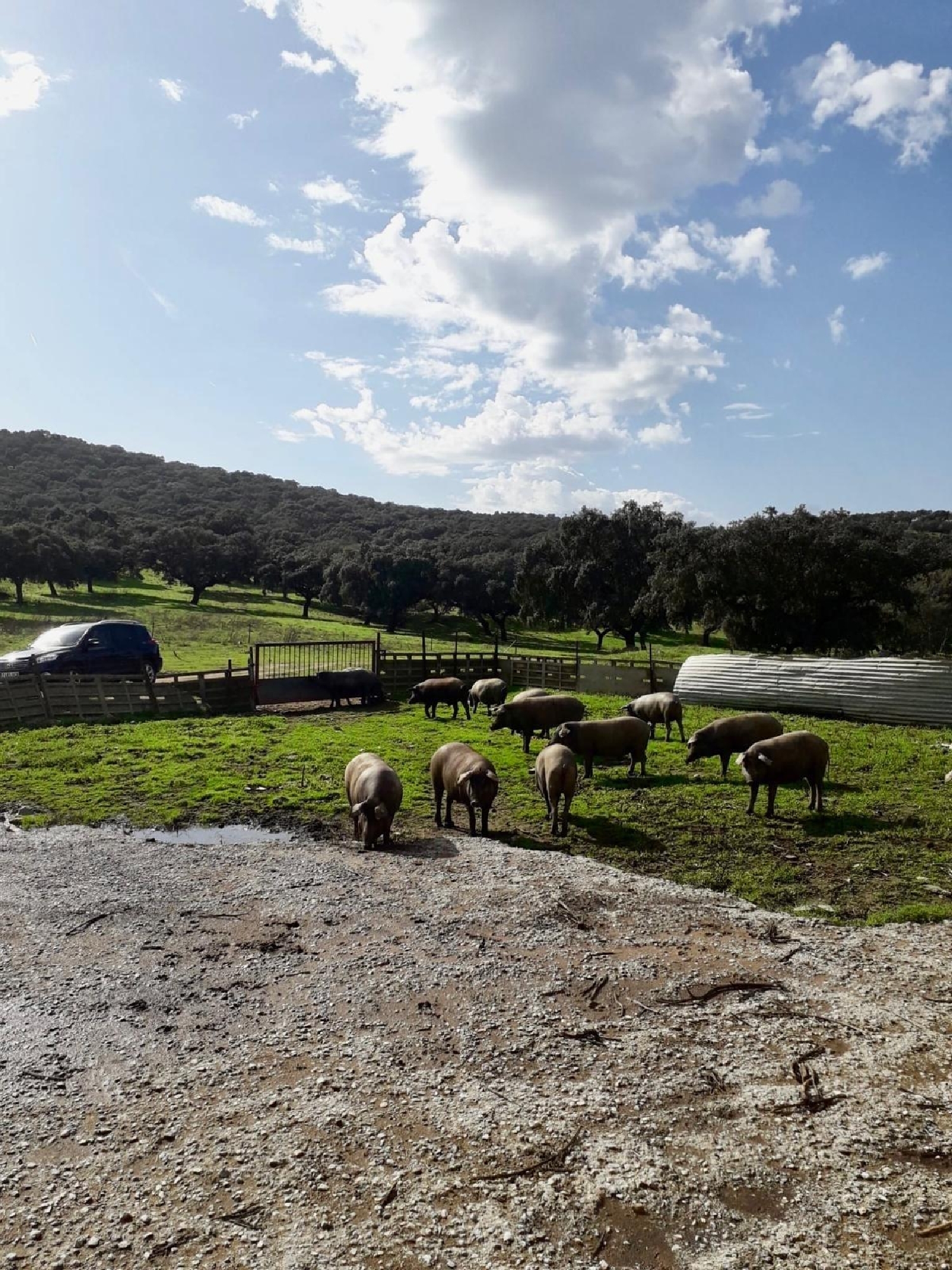  for sale plot Fuente Obejuna Valle Del Guadiato 7