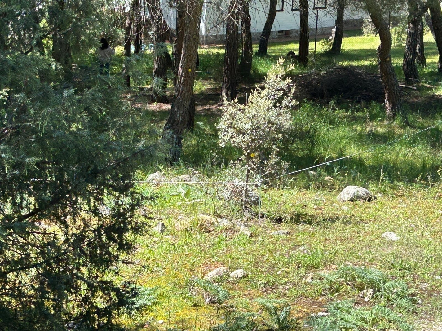  kaufen Grundstück Galapagar Cuenca Del Guadarrama 2