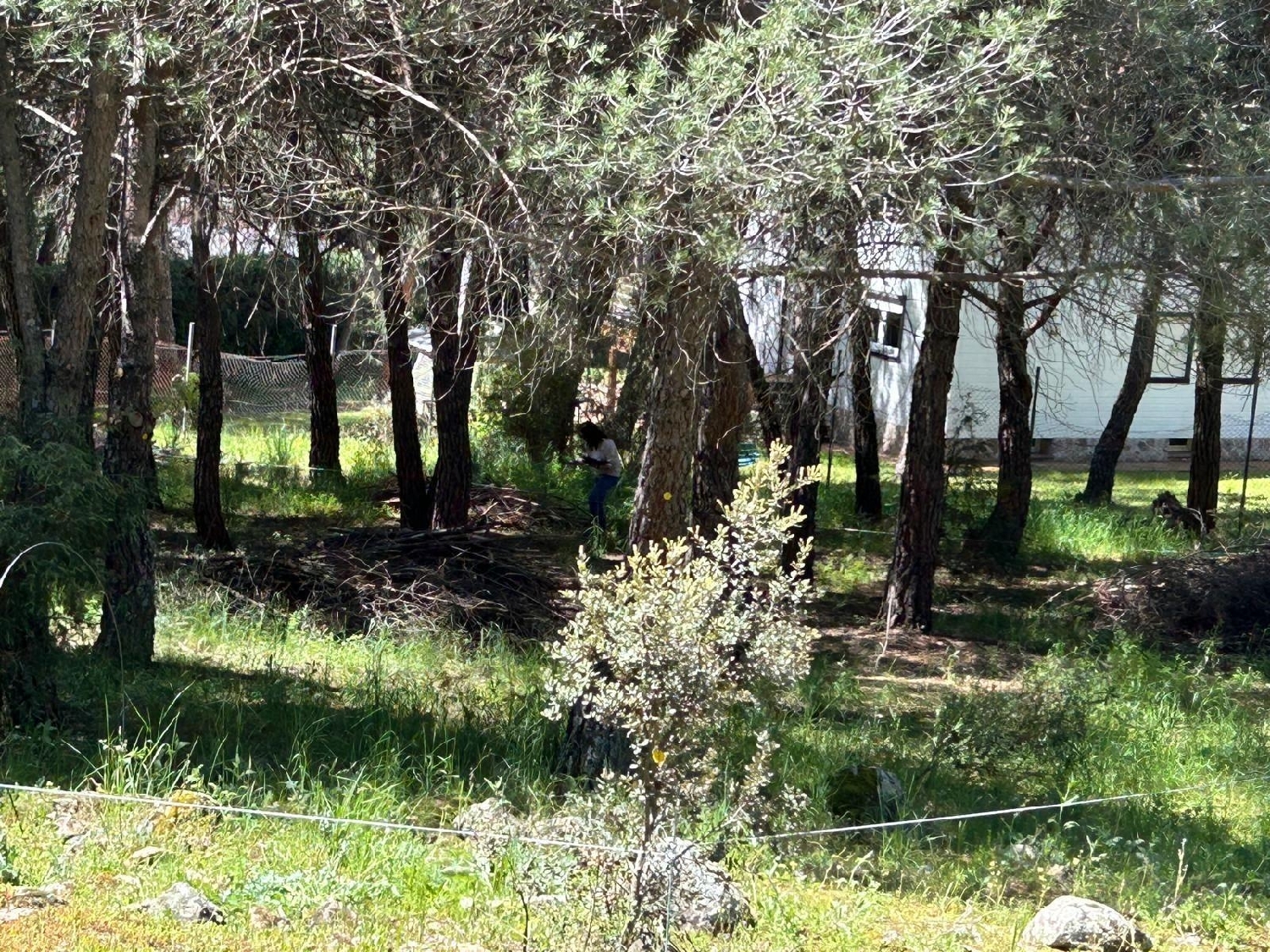  kaufen Grundstück Galapagar Cuenca Del Guadarrama 4
