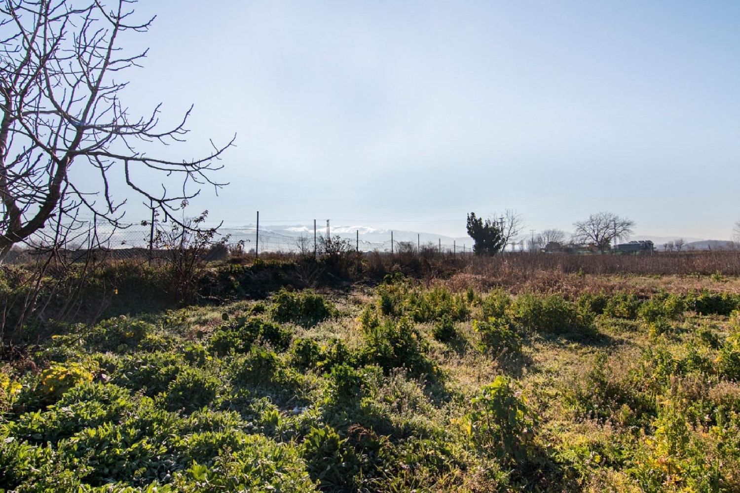  for sale plot Granada Vega De Granada 2