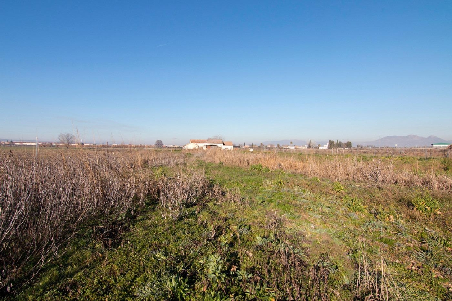  for sale plot Granada Vega De Granada 4