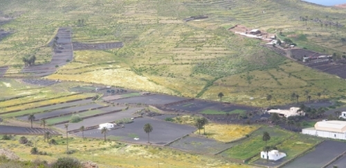 Haría Lanzarote tomt foto 6269903