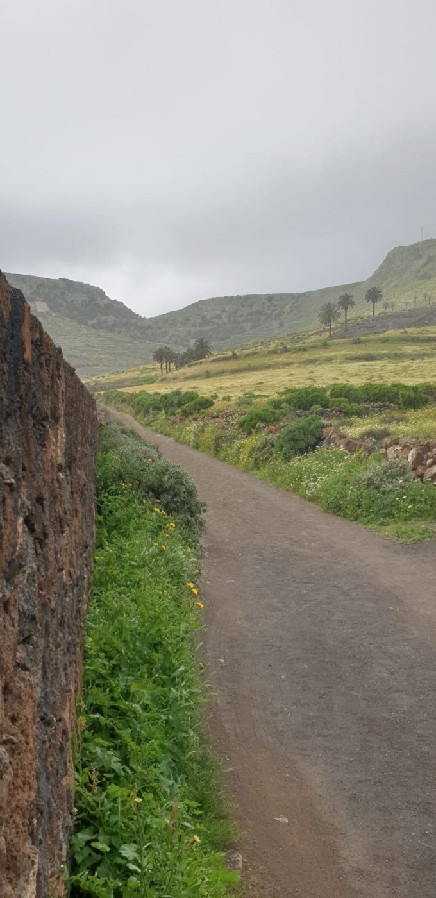  te koop perceel Haría Lanzarote 4