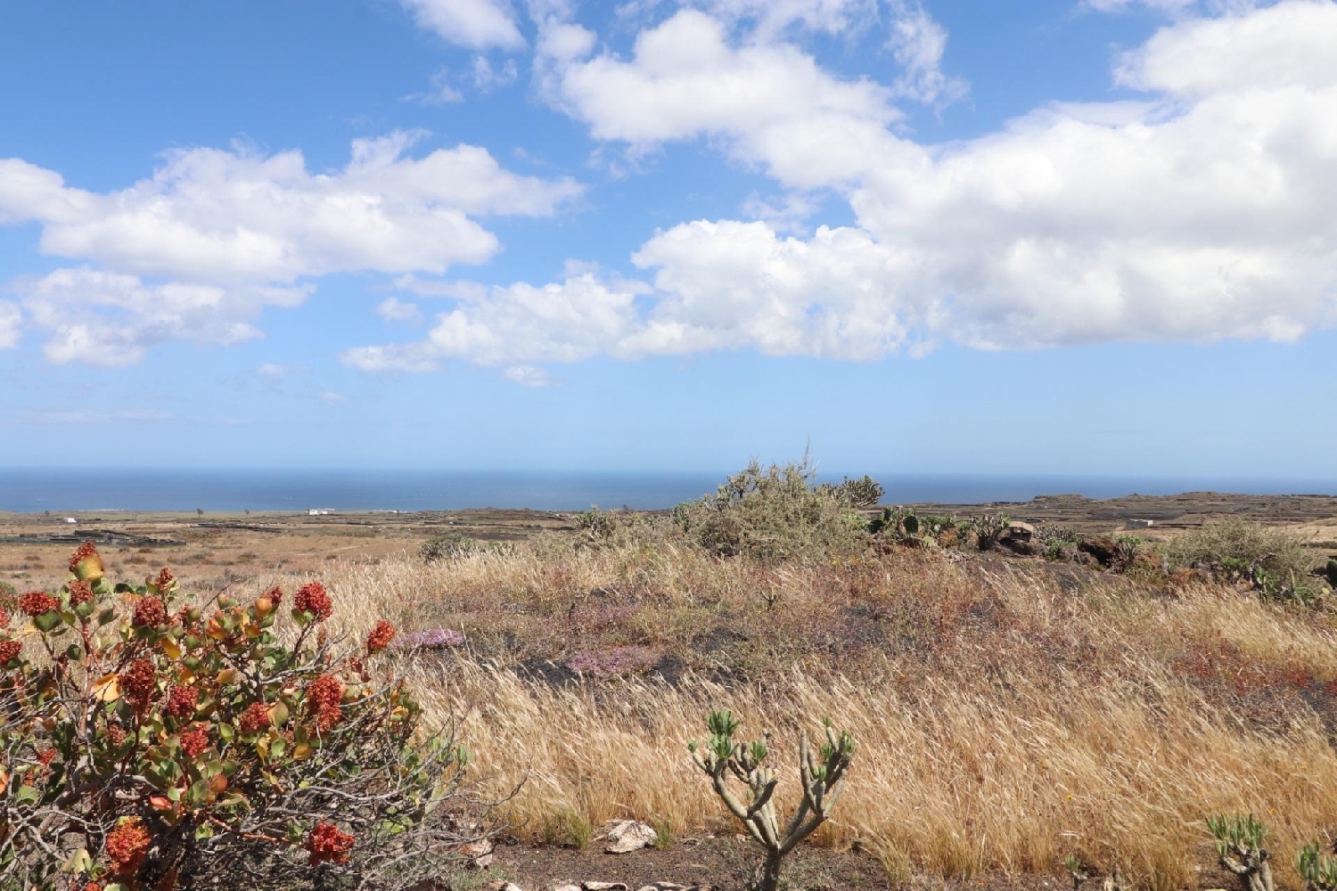  te koop perceel Haría Lanzarote 7