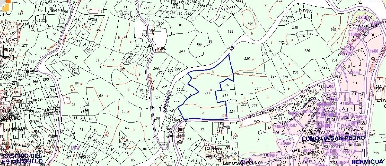 for sale plot Hermigua Gomera (La) 3