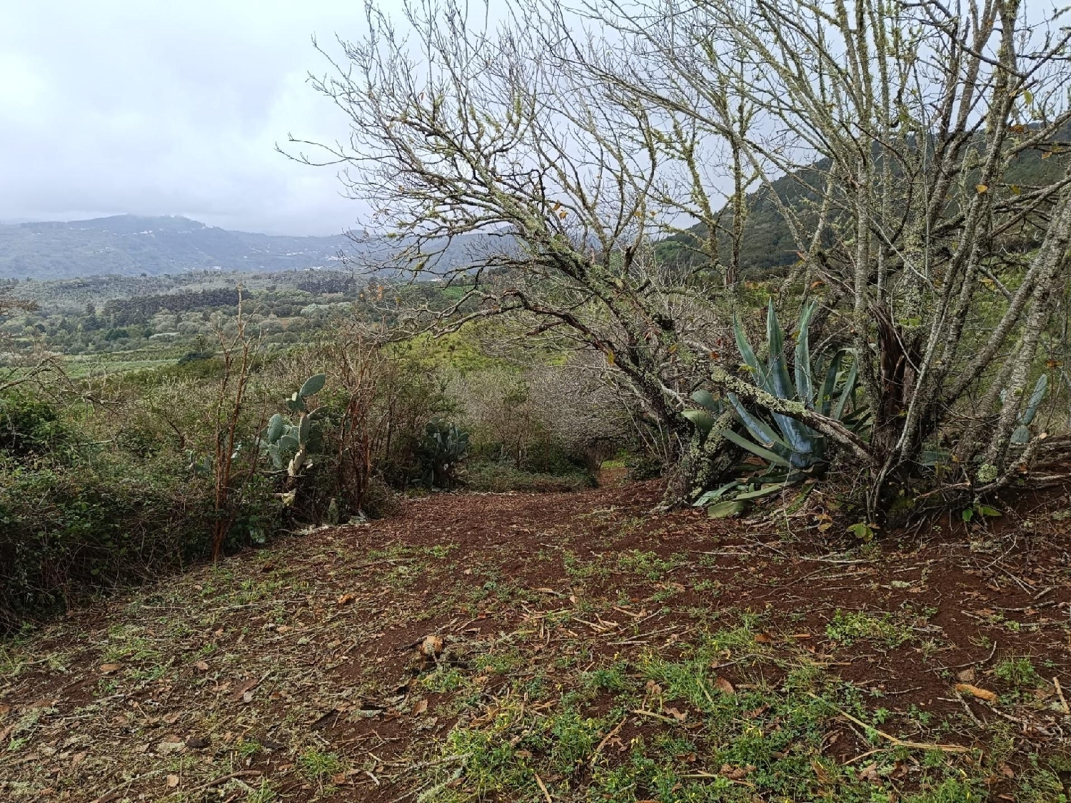  till salu tomt Huertas Del Palmar Área Norte 5