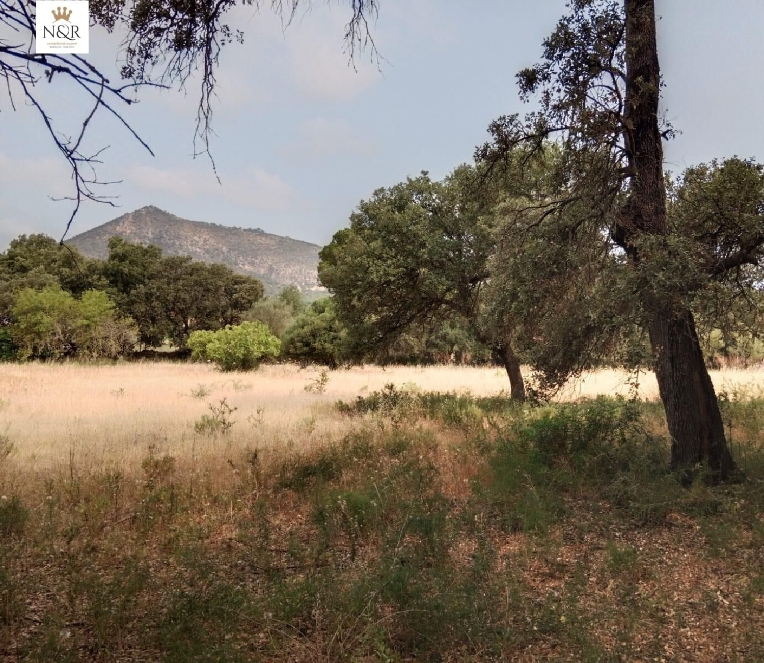 for sale plot Inca Raiguer 1