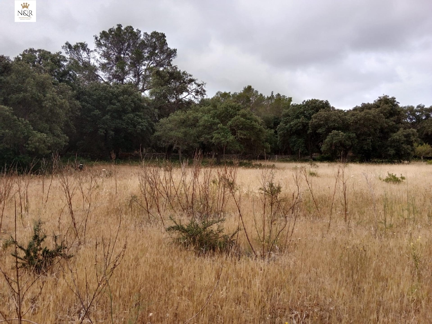  for sale plot Inca Raiguer 5